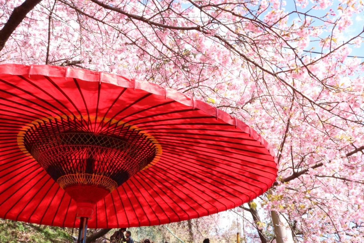 Stay Sakura Kyoto Gion Miyagawacho المظهر الخارجي الصورة